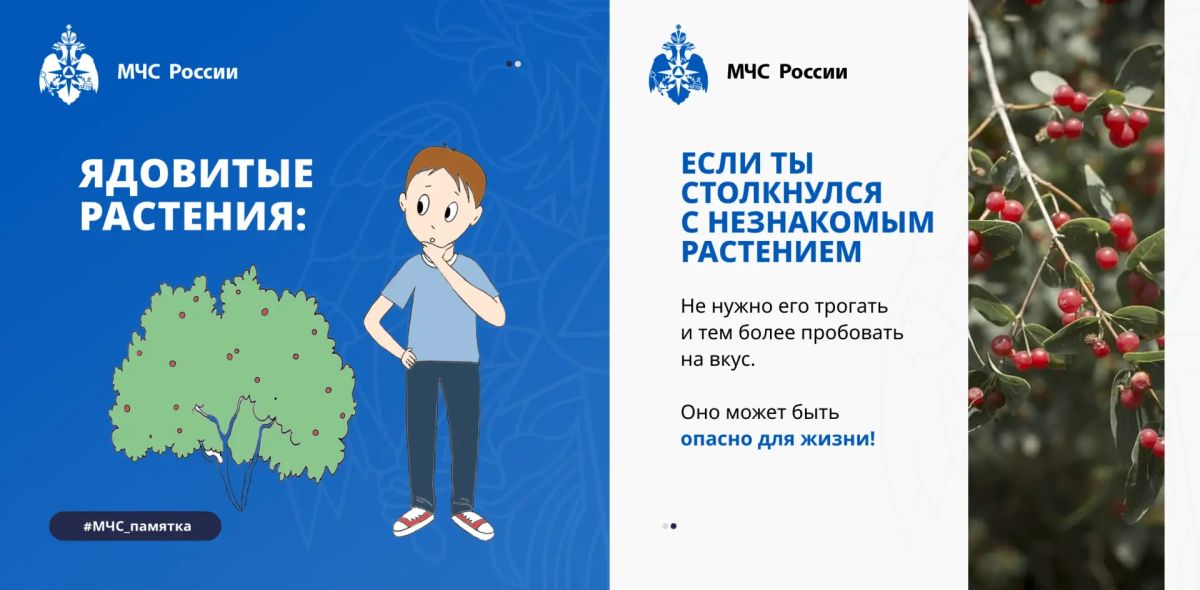 Осторожно: красота может быть опасной!