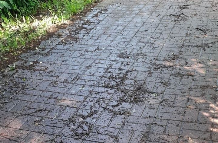 На улице Московской люди идут по тротуару как по льду На улице Московской люди идут по тротуару как по льду