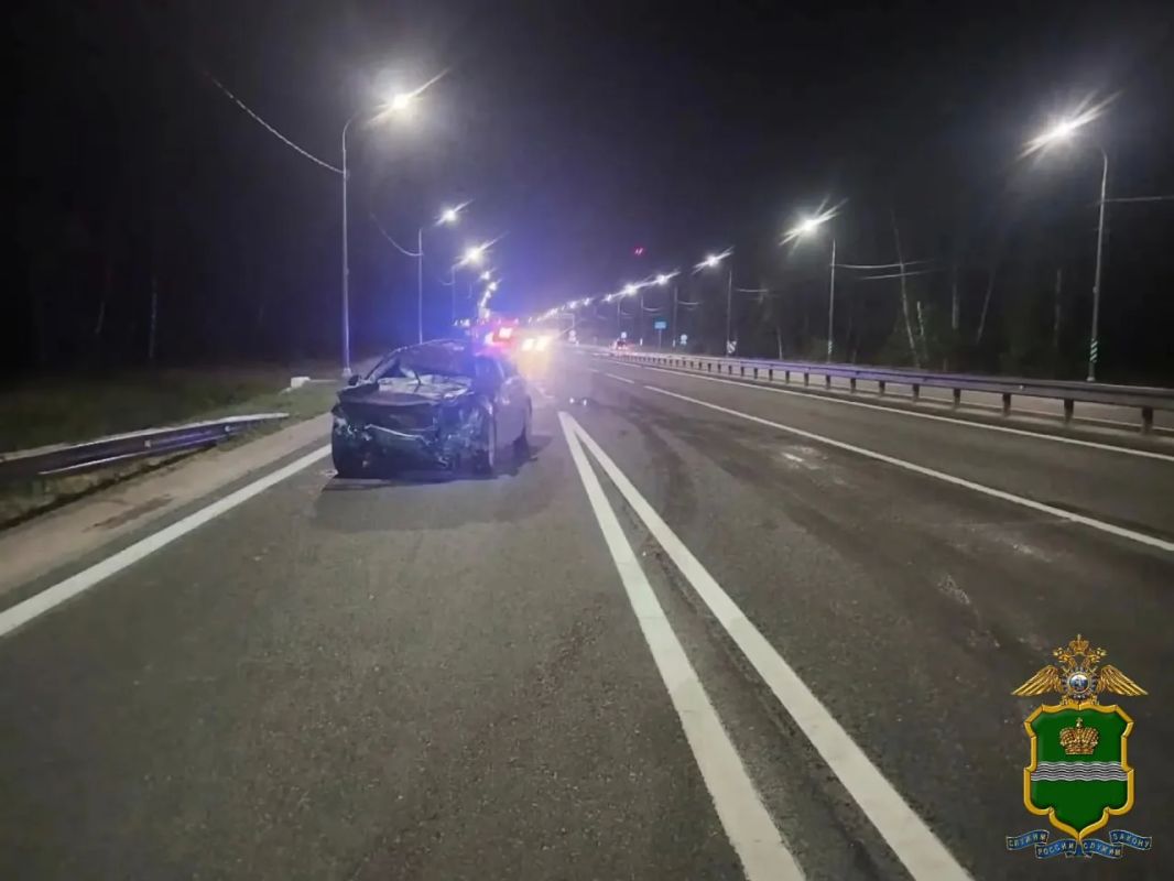 В Калуге «Шевроле» сбил лося и врезался в ограждение