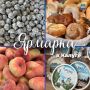 Приглашаем калужан и гостей города на ярмарку: