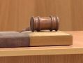 За убийство пса Зефира виновному назначили исправительные работы