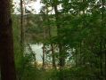 В калужских лесах повысился класс пожарной опасности