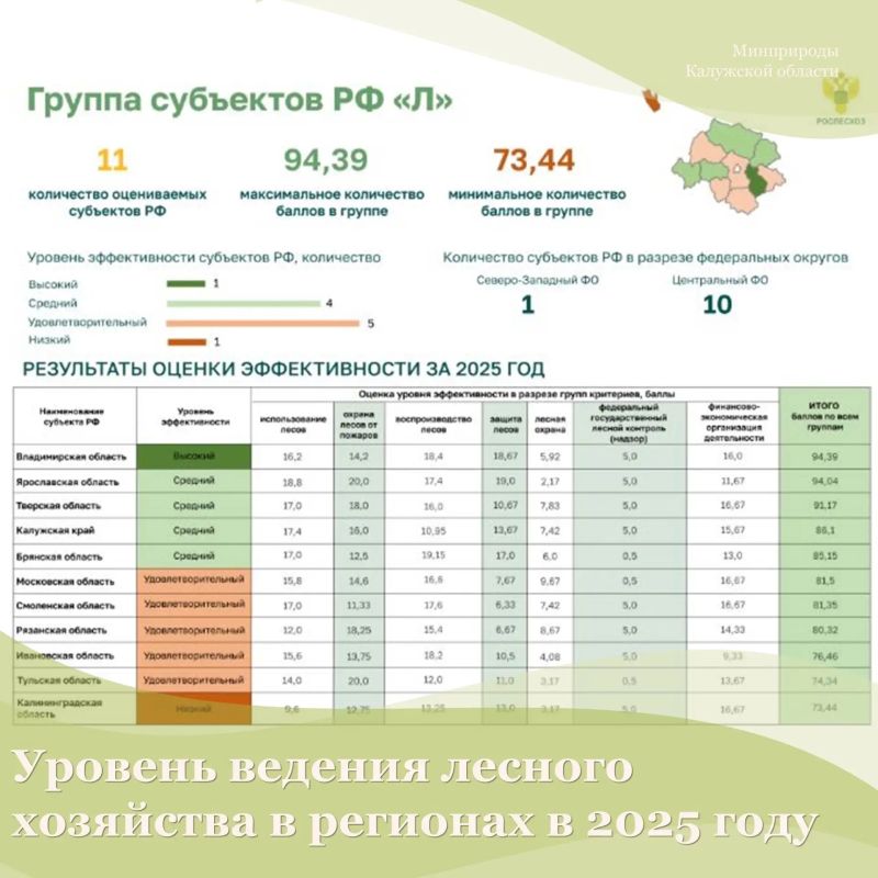 Федеральное агентство лесного хозяйства определило уровень ведения лесного хозяйства в регионах в 2025 году