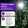 Город в новом свете: итоги модернизации освещения за полгода