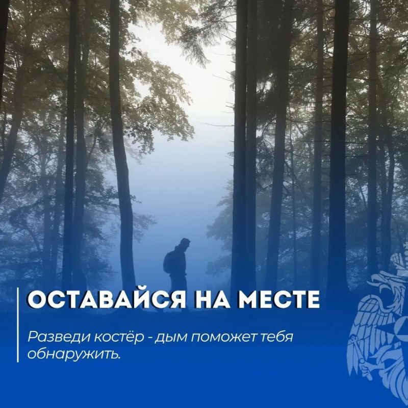 ПОТЕРЯЛСЯ В ЛЕСУ?. ПРОСТАЯ ИНСТРУКЦИЯ: 1 СТОЙ — не двигайся дальше ПОТЕРЯЛСЯ В ЛЕСУ?. ПРОСТАЯ ИНСТРУКЦИЯ: 1 СТОЙ — не двигайся дальше