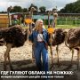 Шесть лет назад всё начиналось с двух семей страусов, а сегодня это настоящий ковчег в сердце Калуги!