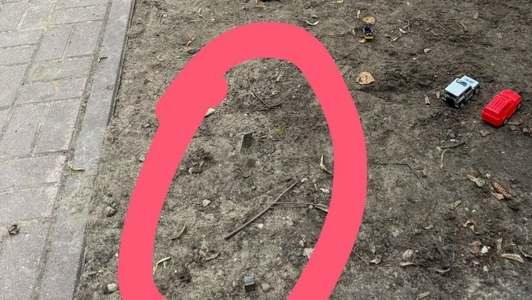 В парке Циолковского острые штыри в земле угрожают жизни детей В парке Циолковского острые штыри в земле угрожают жизни детей