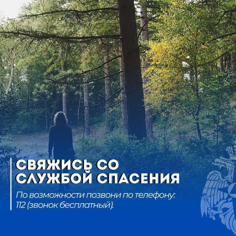 ПОТЕРЯЛСЯ В ЛЕСУ?. ПРОСТАЯ ИНСТРУКЦИЯ: 1 СТОЙ — не двигайся дальше ПОТЕРЯЛСЯ В ЛЕСУ?. ПРОСТАЯ ИНСТРУКЦИЯ: 1 СТОЙ — не двигайся дальше