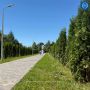 У новой аллеи рядом с детским садом «Сказка» появилось имя - «Счастливая»!