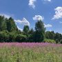 Погода на выходных порадует калужан теплом