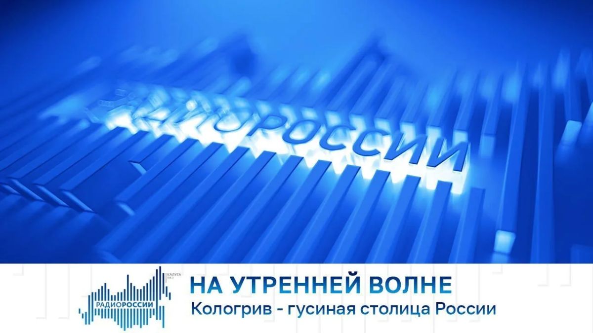 На утренней волне. Кологрив - гусиная столица России