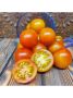 Томат Летний абрикос: солнечный сорт с нежной мякотью и сладким вкусом