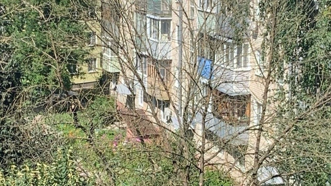 На улице Суворова сухие деревья стоят уже три года