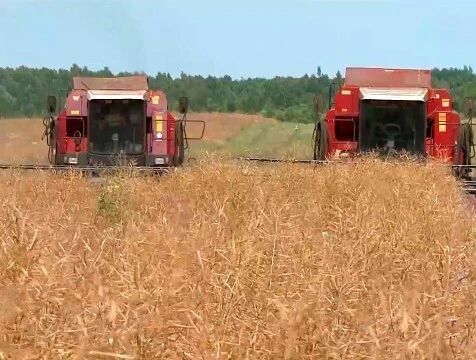 На 34% вырос экспорт сельхозпродукции из Калужской области