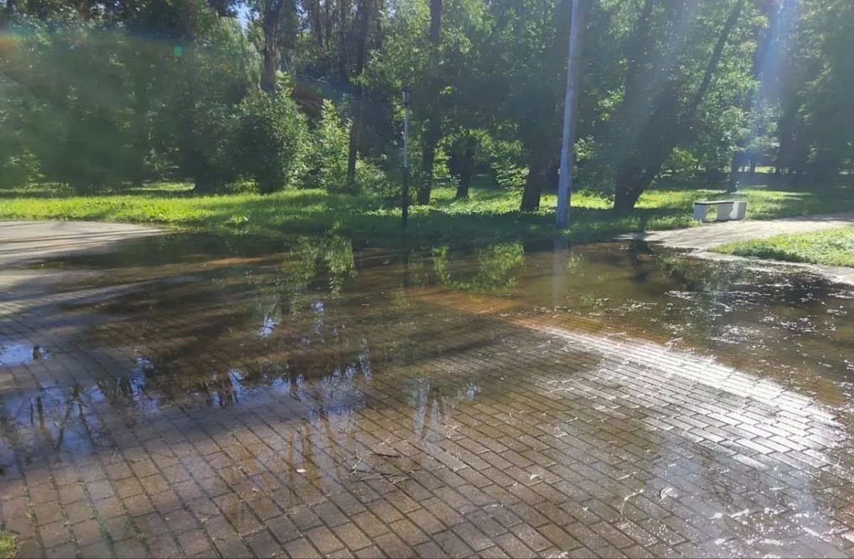 Калужанка пожаловалась на постоянную лужу в сквере Кирюхина