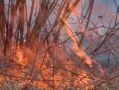 Класс пожарной опасности вновь повысился в калужских лесах