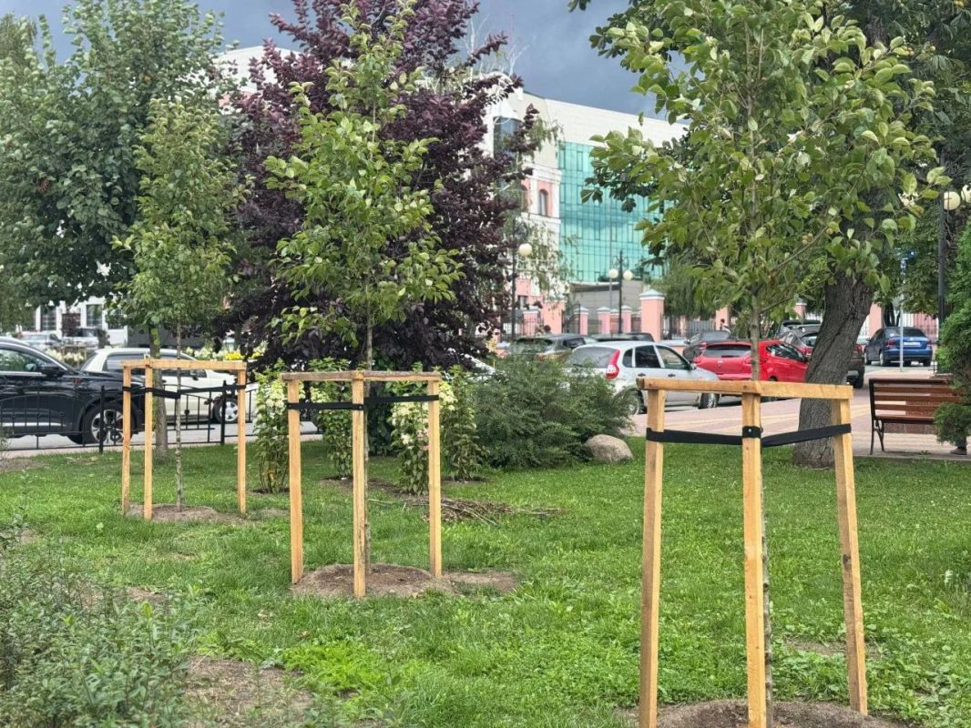 Калужанам стала доступна карта озеленения
