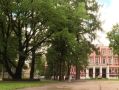 Калужане могут выбрать российское дерево года