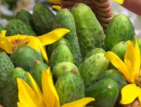 Цены на сезонные овощи снизились до 6% в регионе