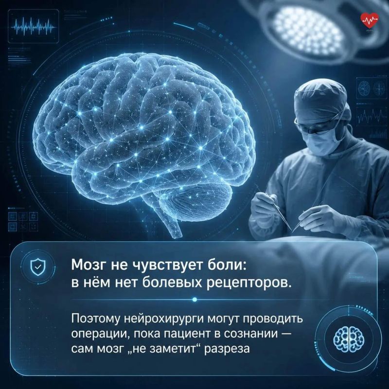 Мы привыкли думать, что мозг «отдыхает» ночью, а нервные клетки не восстанавливаются