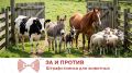 За и против. Штрафстоянка для животных