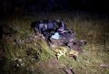 В Калужской области в ДТП с фурой погиб водитель легковушки