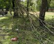 В Калуге после жалобы жителей решили привести в порядок сквер Содружества
