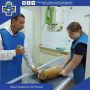 Сегодня в рубрике "Наши пациенты" трёхлетний кот по кличке Рыжик
