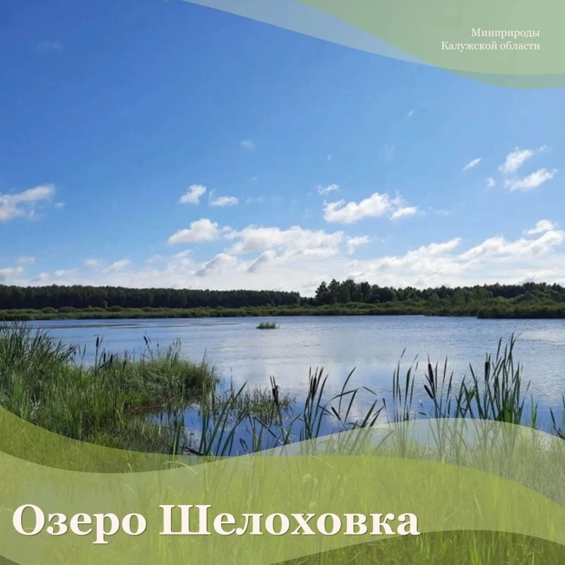 Интересный водоем естественного происхождения есть и в Юхновском муниципальном округе – озеро Шелоховка, что у деревни Порослицы