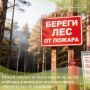 Юный эколог из Калужской области победил в конкурсе видеороликов «Береги лес от пожаров»