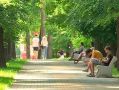 До +33°C ожидается в Калужской области