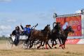 Таруса готовится к фестивалю «Орловского рысака»
