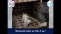 Внимание на ПОС - у нас новый ежемесячный опрос!