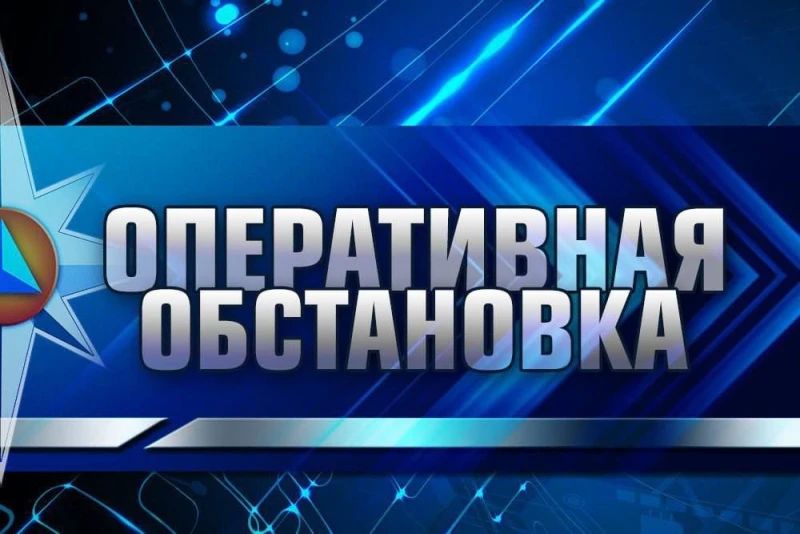 Оперативная информация за 4 августа 2026 года