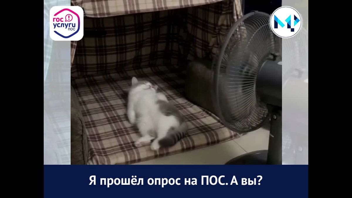 Внимание на ПОС - у нас новый ежемесячный опрос!