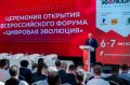 ��������� �����: ������� ������������� �������� ���������� ����� �������� � ������