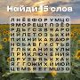 Августовская разминка для самых внимательных!