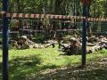 Юные калужане отличились на окружном этапе «Зарницы 2.0»
