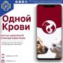 Спасение жизней в один клик: заработал портал донорской помощи животным «Одной Крови»