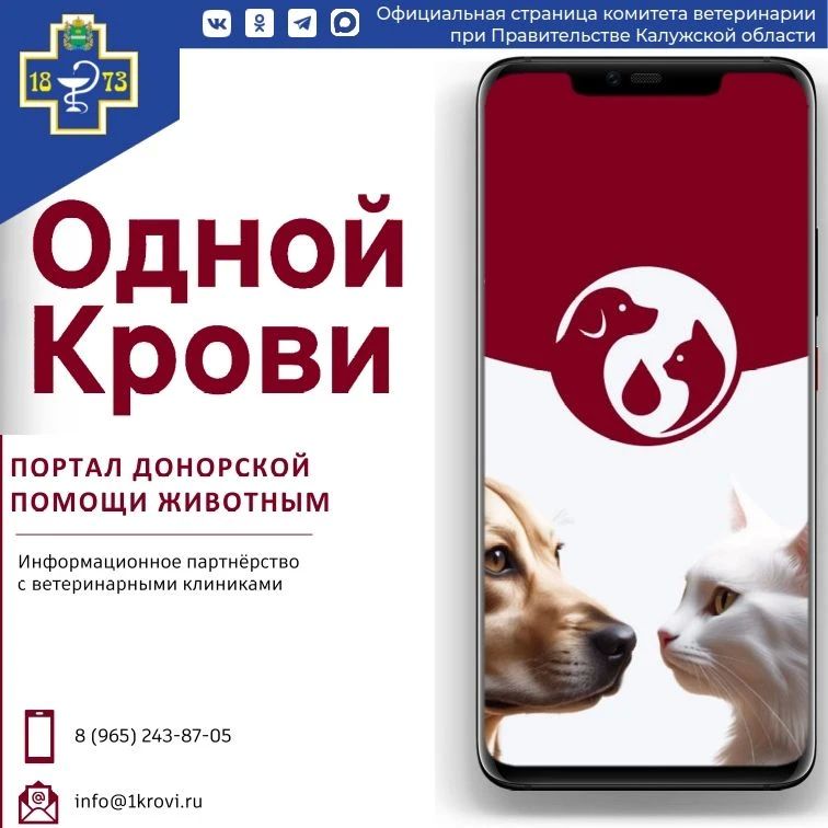 Спасение жизней в один клик: заработал портал донорской помощи животным «Одной Крови»