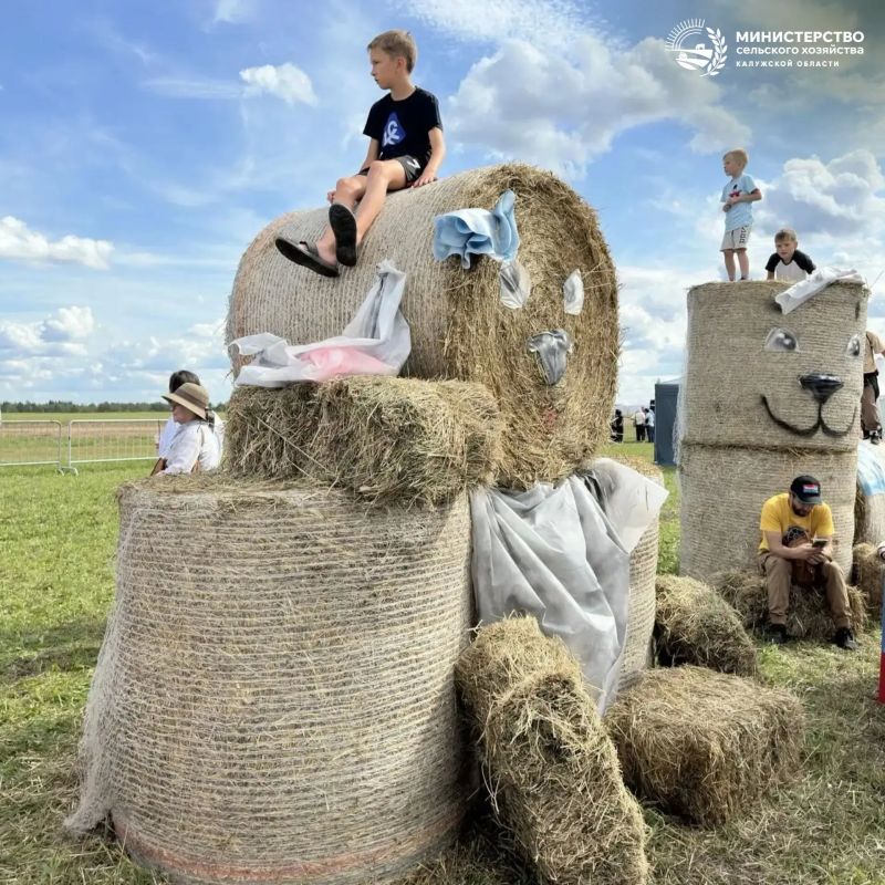 Гармония силы и грации!. 15 августа в живописной Тарусе состоится ежегодный Фестиваль Орловского рысака Гармония силы и грации!. 15 августа в живописной Тарусе состоится ежегодный Фестиваль Орловского рысака