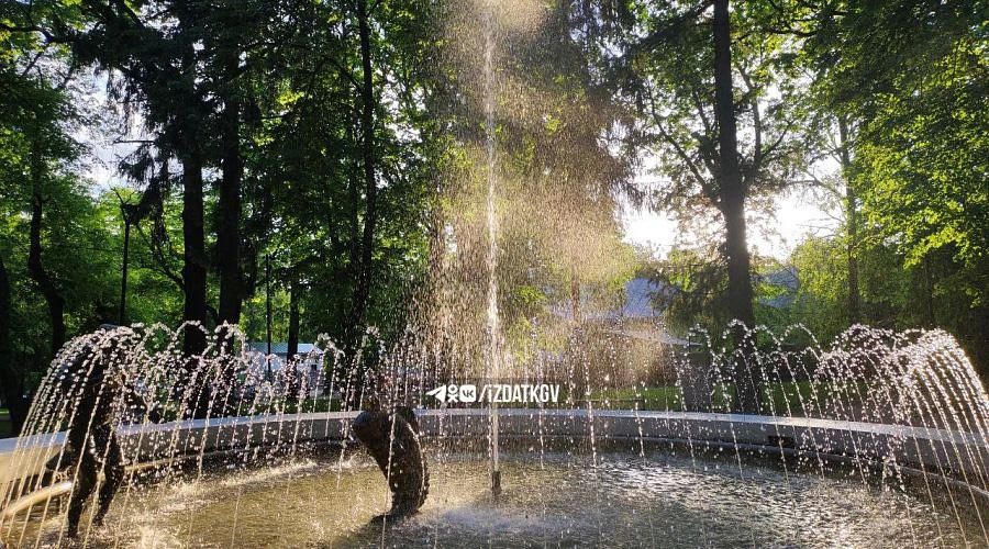 В парке культуры и отдыха в Калуге появятся новые детская площадка и туалетный модуль