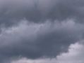Ливень и гроза ожидаются в Калужской области