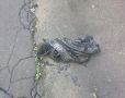Из канализации в Обнинске вытащили трусы