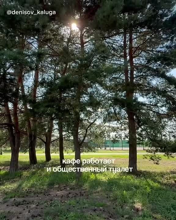 В сквере Волкова поставят новый туалет