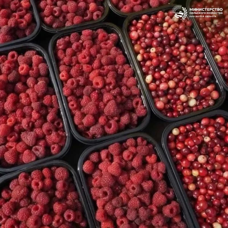 Фермерская продукция, дегустации и отличное настроение: зачем ехать на «Калужскую осень-2026» Фермерская продукция, дегустации и отличное настроение: зачем ехать на «Калужскую осень-2026»