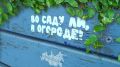 Во саду ли, в огороде! (12.08.2026)