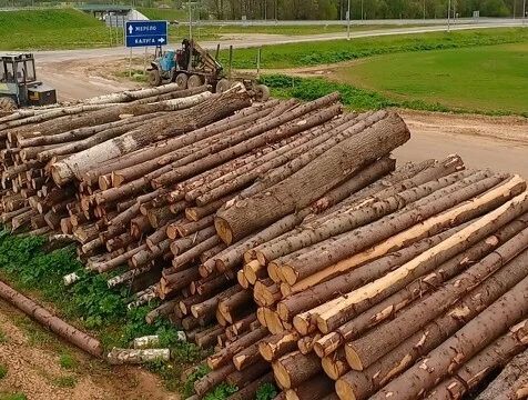 На 38% снизилось число незаконных лесозаготовок в Калужской области