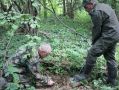 Калужане помогли найти останки 34 советских воинов в Смоленской области