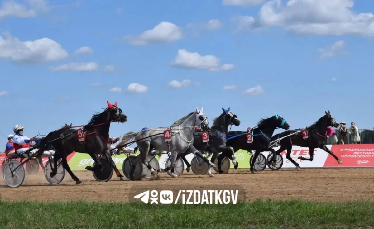 Давайте еще раз полюбуемся на грациозный лошадок с фестиваля Орловского рысака в Тарусе! Давайте еще раз полюбуемся на грациозный лошадок с фестиваля Орловского рысака в Тарусе!